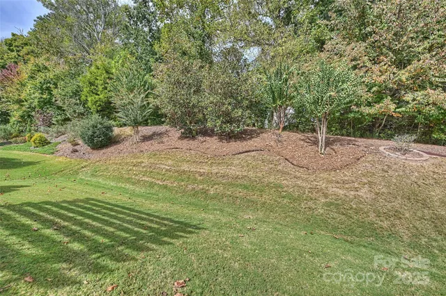 a view of a backyard