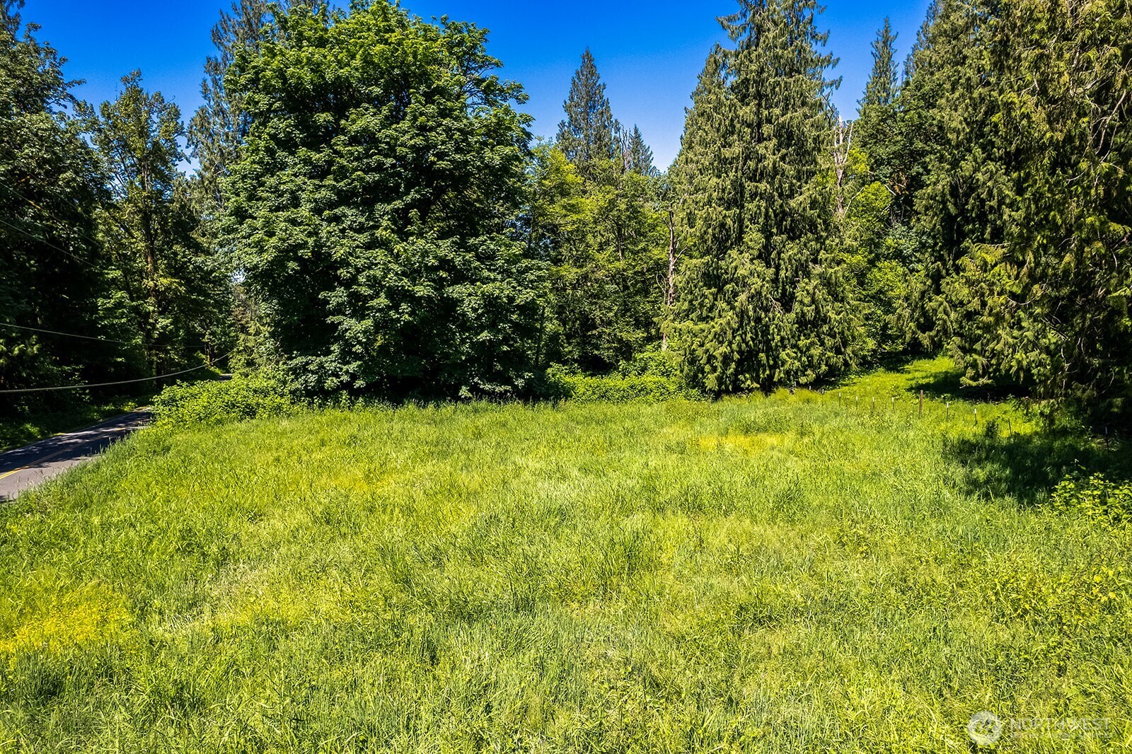 18901 Welch Road Snohomish, WA 98296 - Photo 6 of 25