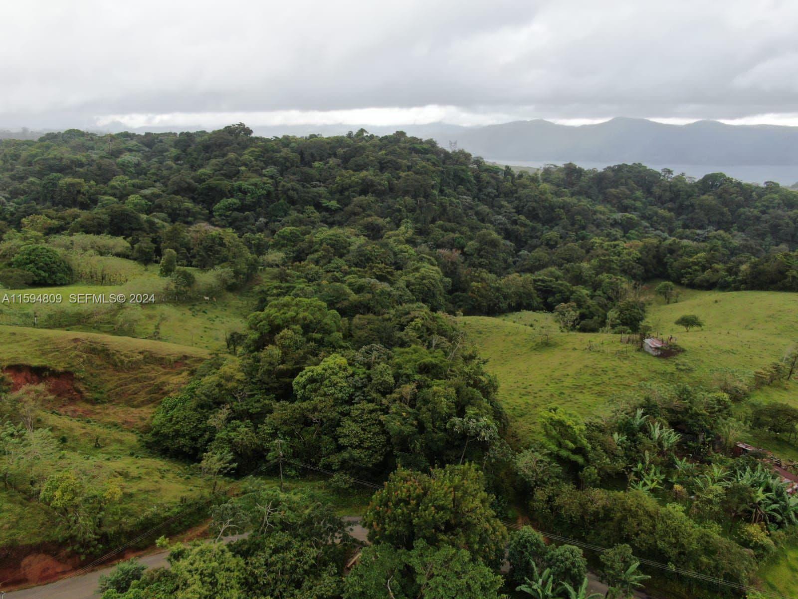 undefined, CR 00000 - Photo 11 of 14 a view of a lush green forest with trees in the background