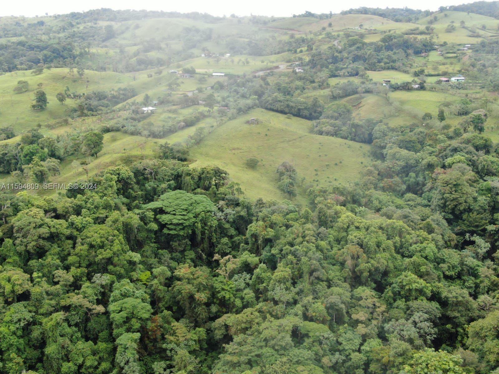undefined, CR 00000 - Photo 12 of 14 a view of a forest with trees in the background