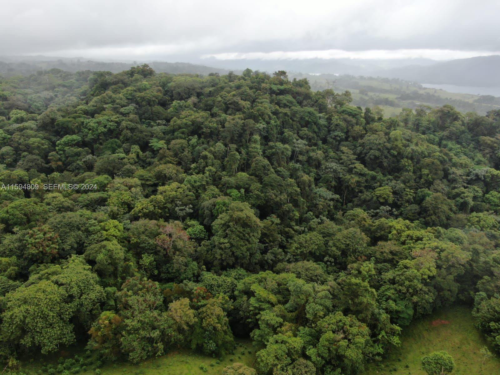undefined, CR 00000 - Photo 14 of 14 an aerial view of residential houses with outdoor space and trees