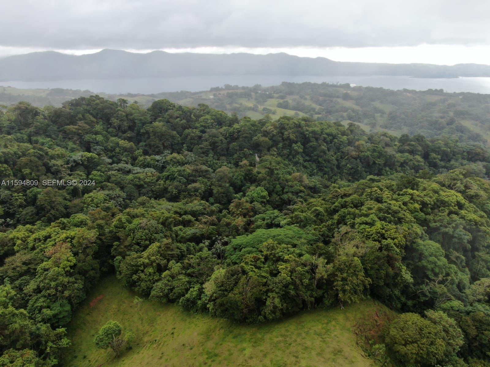undefined, CR 00000 - Photo 10 of 14 a view of a city with lush green forest