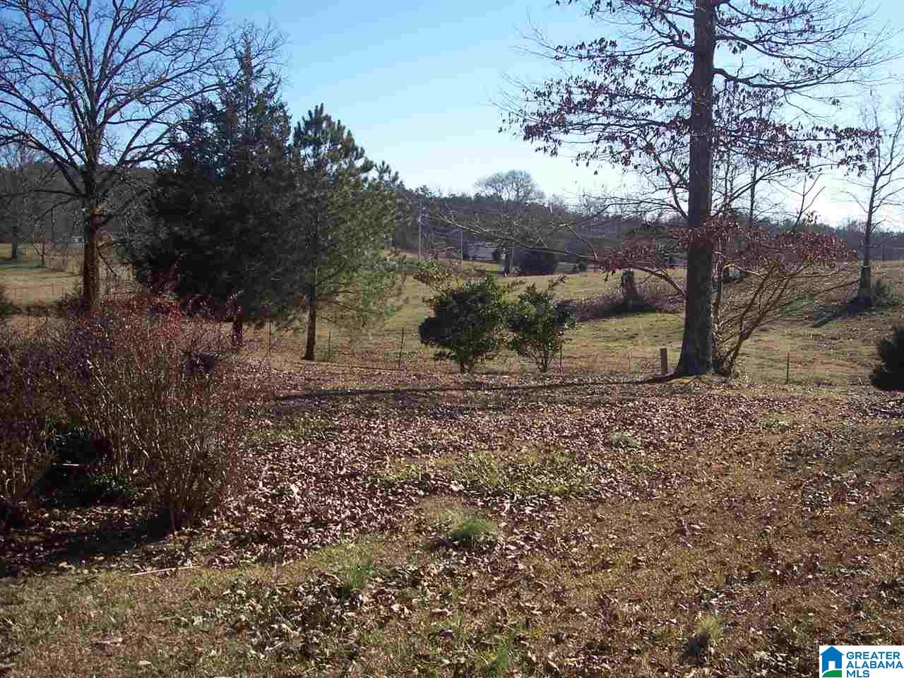 605 Tredegar Road Jacksonville, AL 36265 - Photo 16 of 31