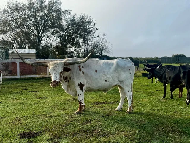 $425,000 | 13340 Highway 172, La Ward, TX 77970