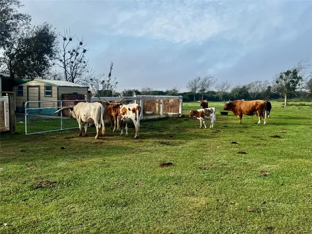 a group of people sitting in a yard
