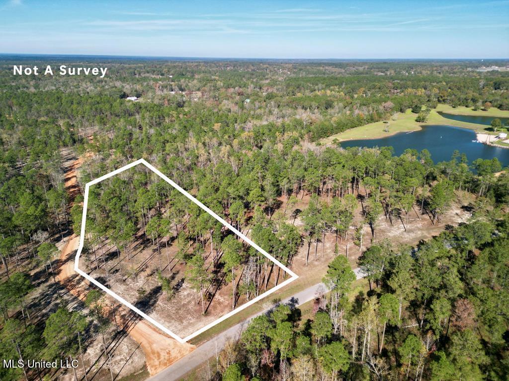 3.81-acre Cowart Holiday Road Poplarville, MS 39470 - Photo 1 of 5 Front