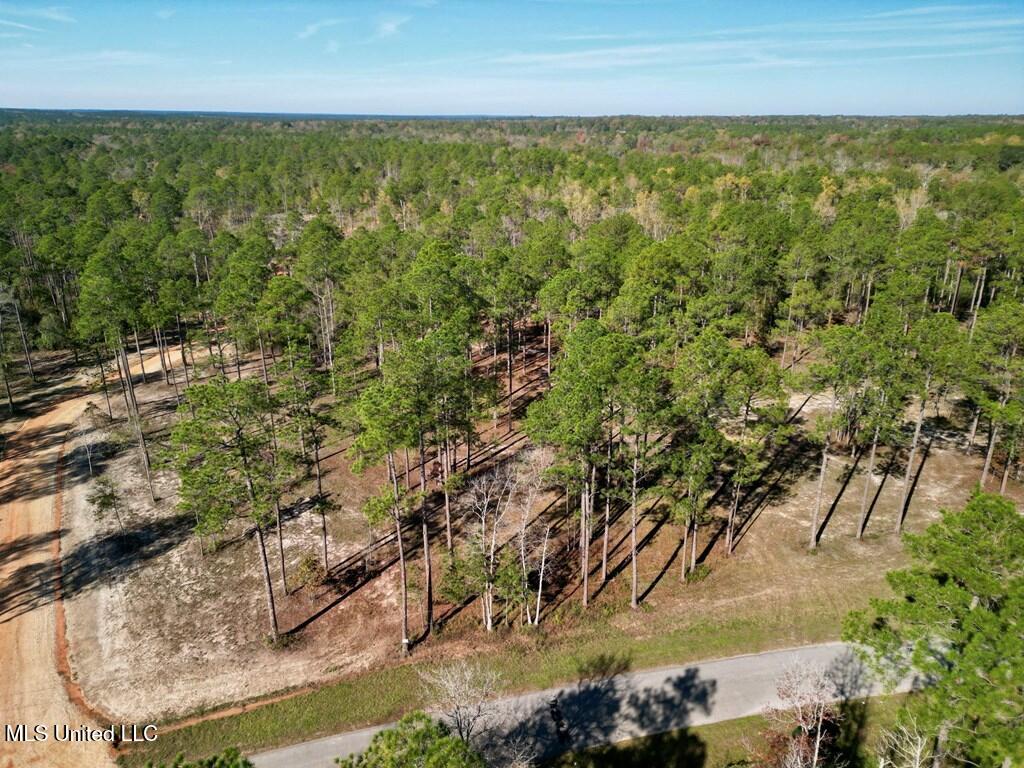 3.81-acre Cowart Holiday Road Poplarville, MS 39470 - Photo 2 of 5 IMG_0139