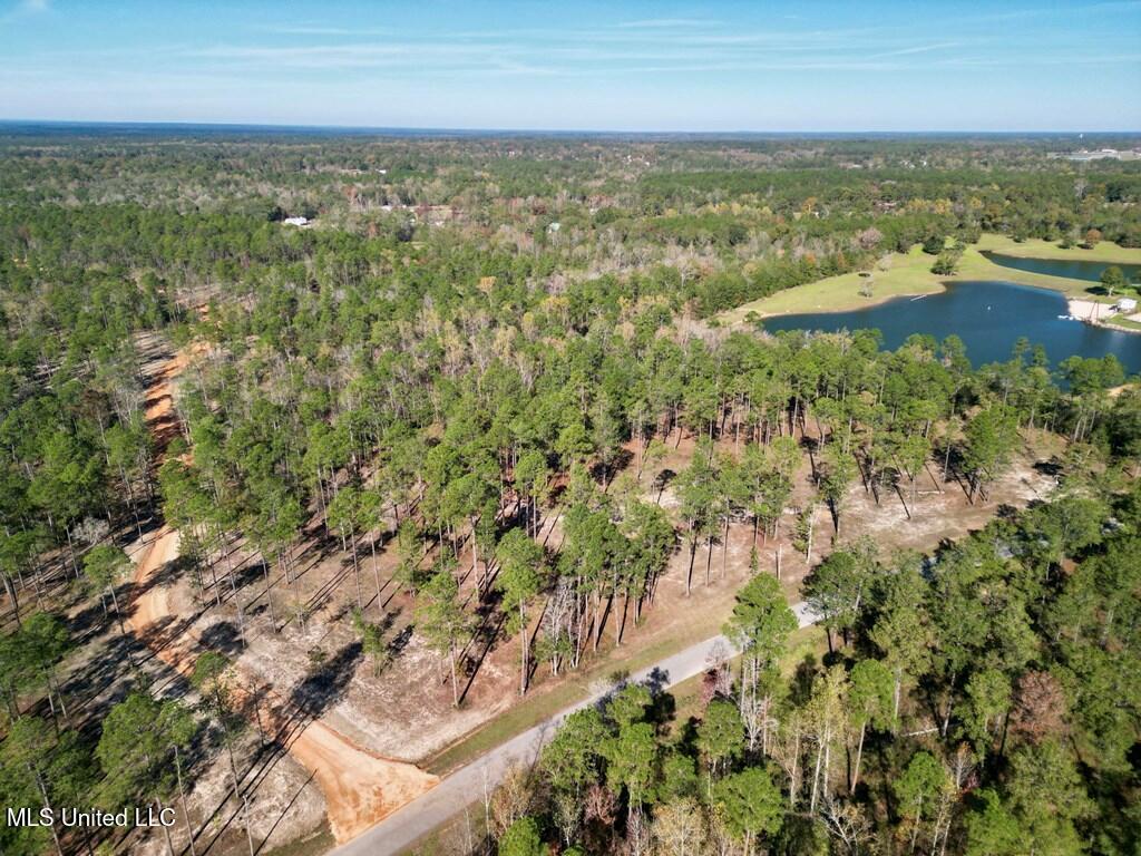 3.81-acre Cowart Holiday Road Poplarville, MS 39470 - Photo 3 of 5 IMG_0140