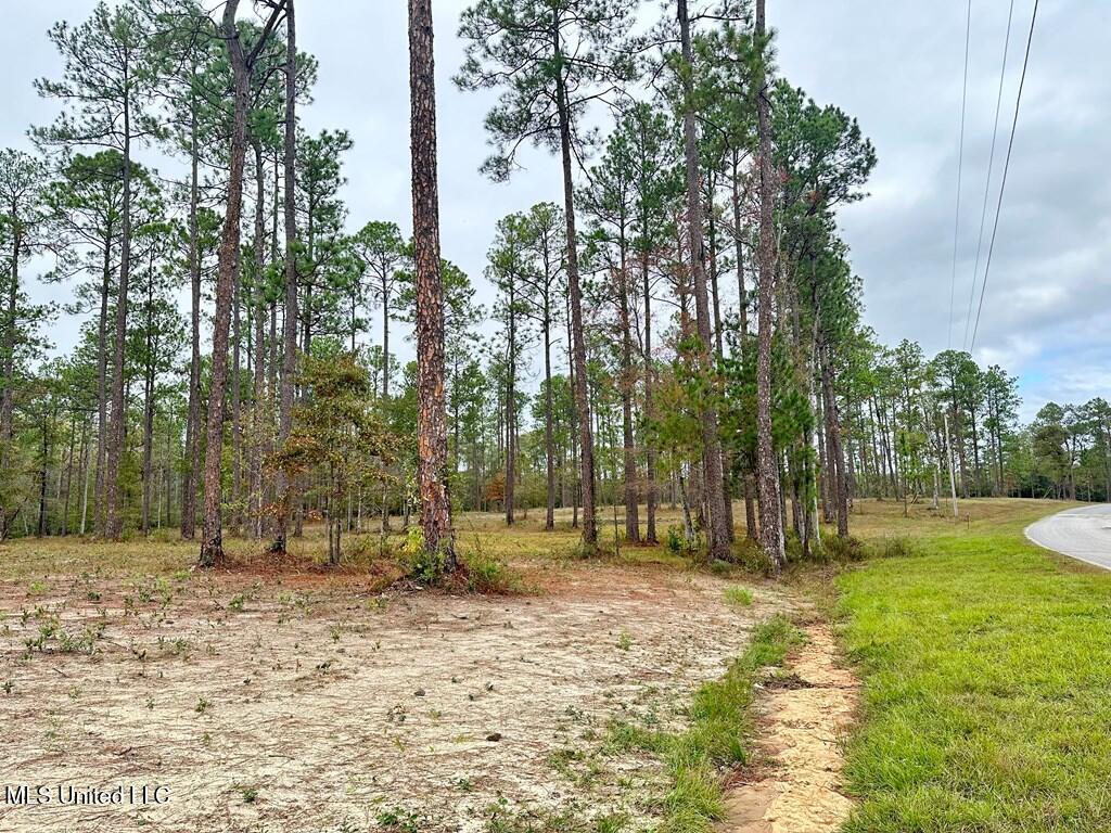 3.81-acre Cowart Holiday Road Poplarville, MS 39470 - Photo 4 of 5 IMG_0141