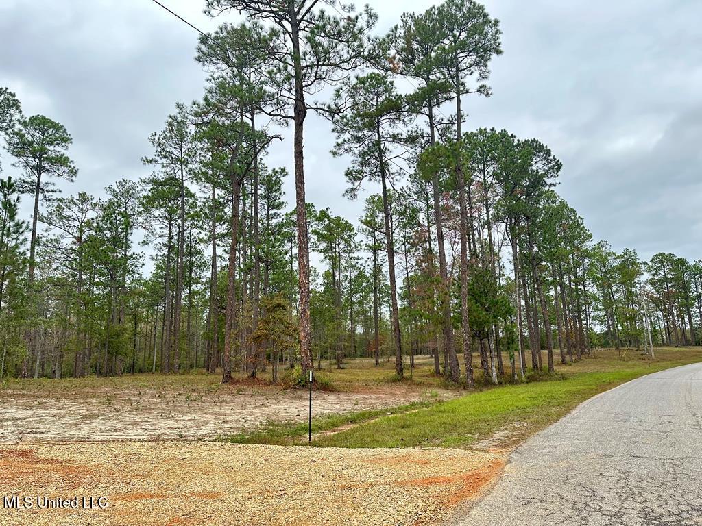 3.81-acre Cowart Holiday Road Poplarville, MS 39470 - Photo 5 of 5 IMG_0142