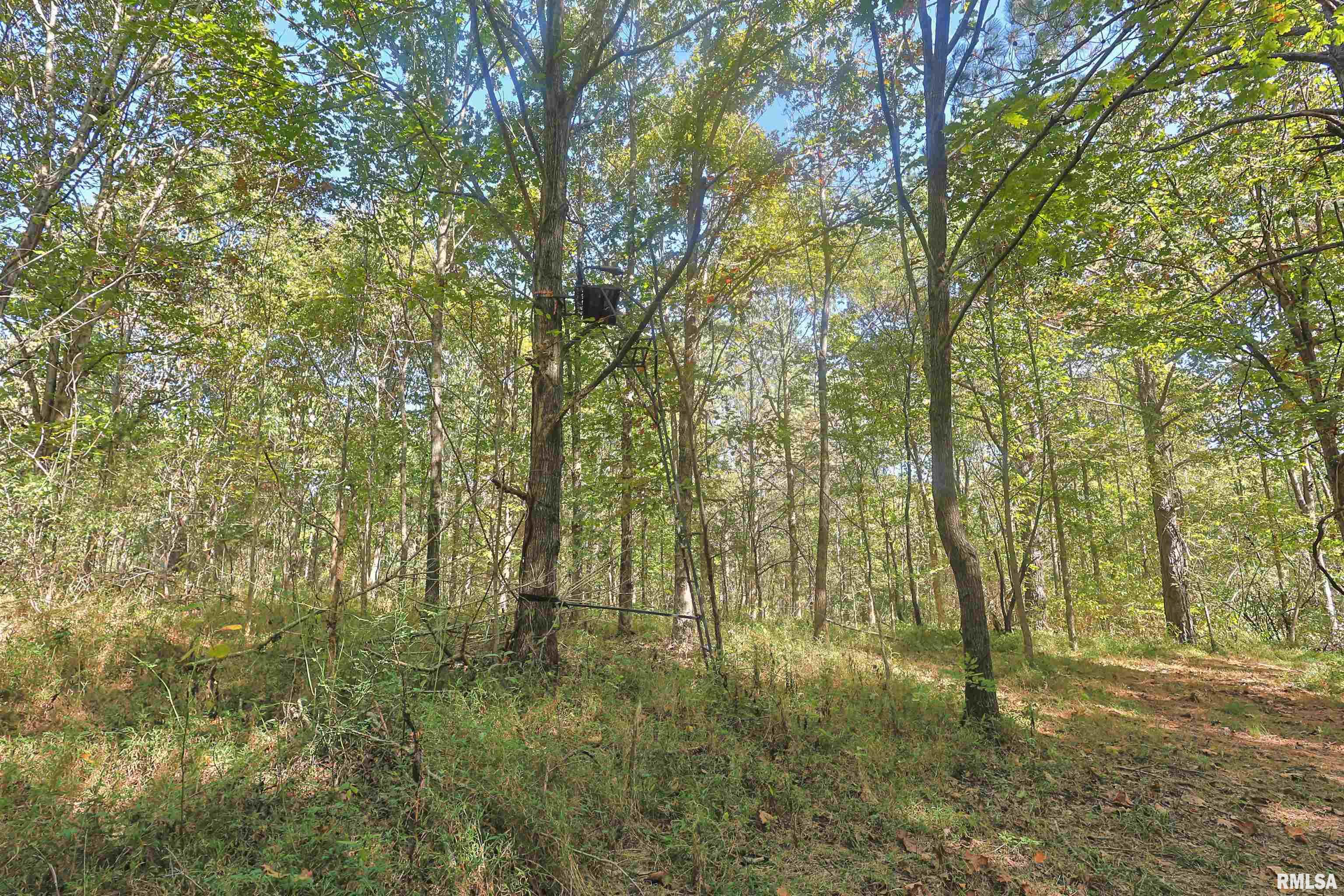 0 Winstead Road Cobden, IL 62920 - Photo 16 of 17