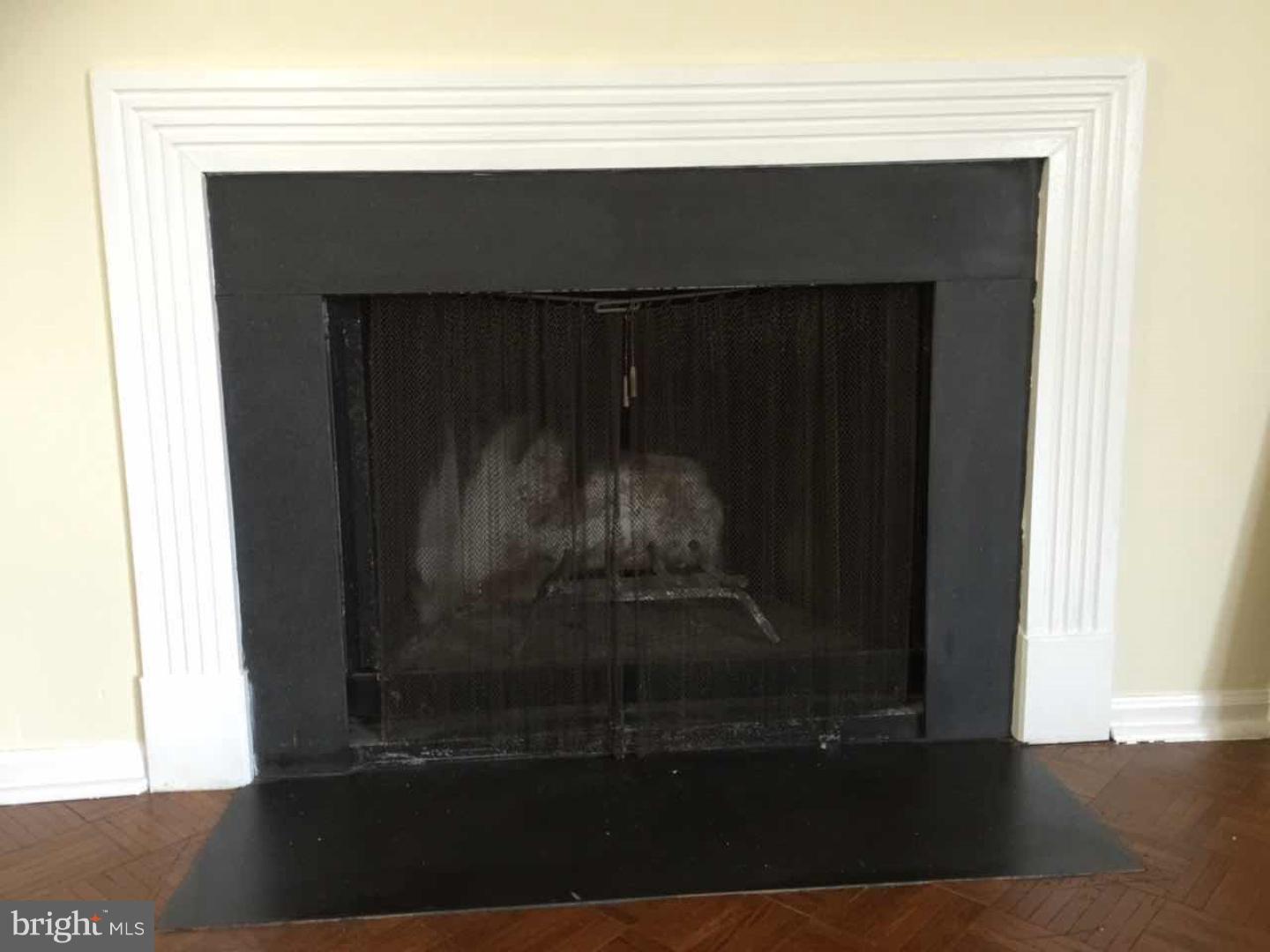 13 C Fairway Road Reading, PA 19607 - Photo 6 of 11 Fireplace