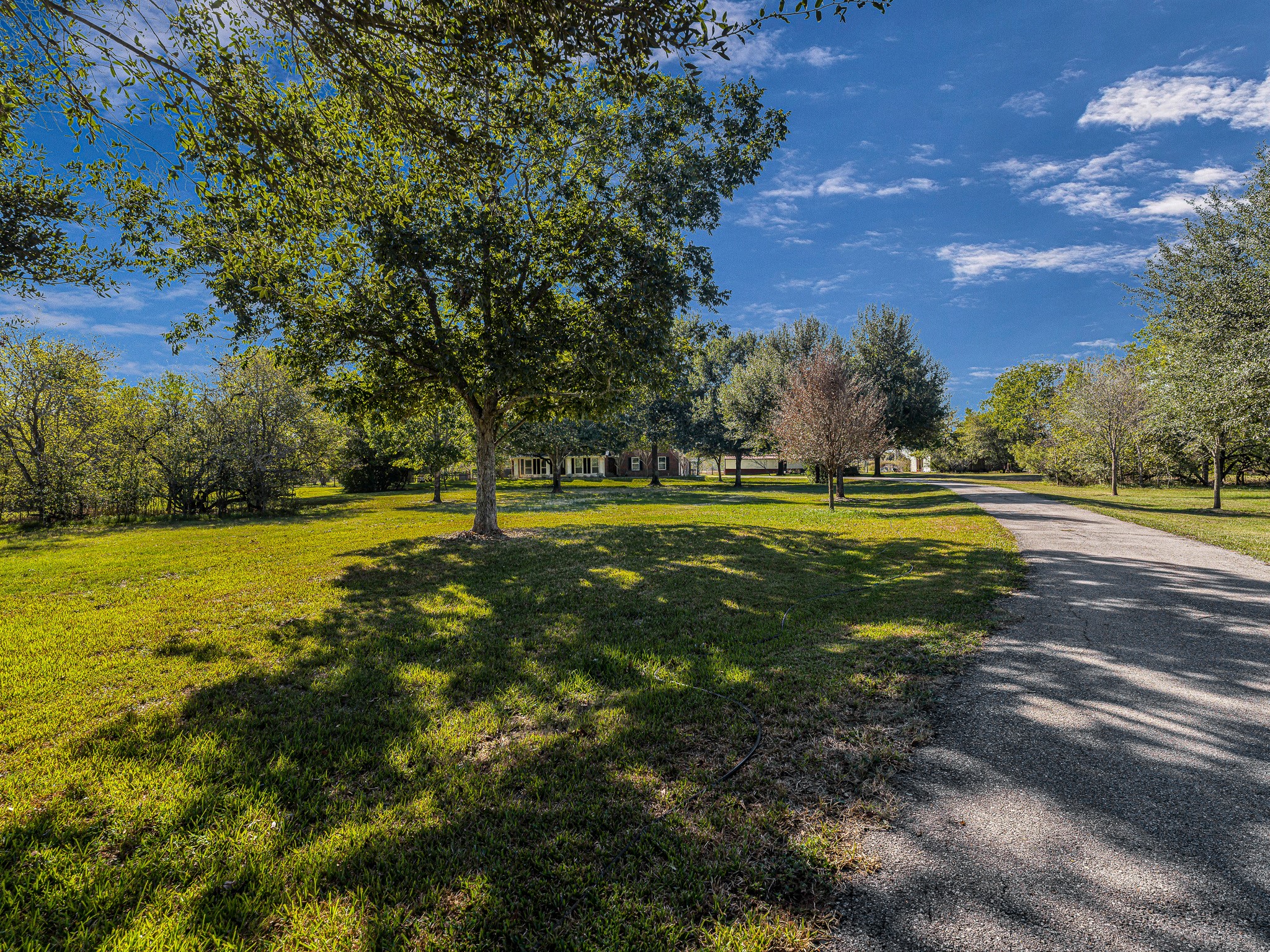 32601 Rogers Road Fulshear, TX 77441 - Photo 7 of 50