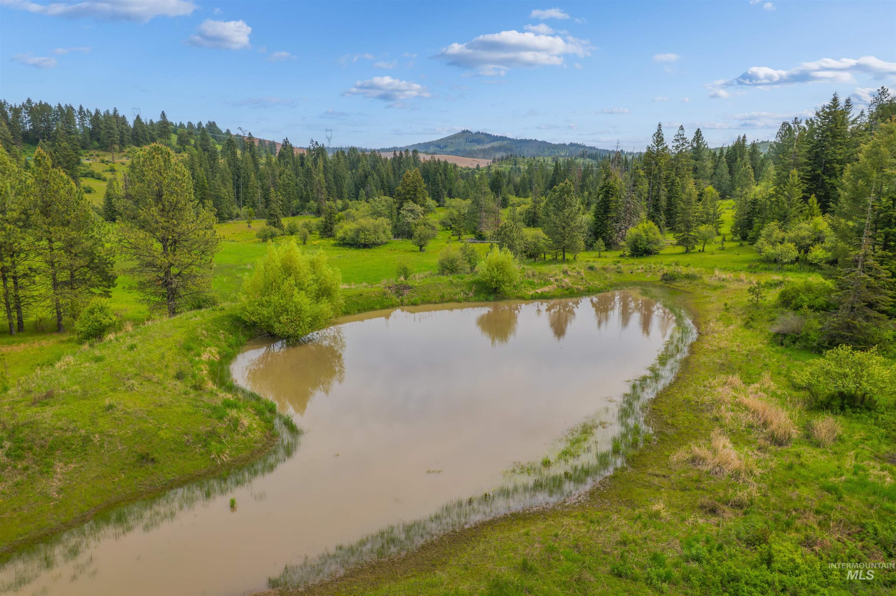 716 3 Bear Creek Road Kendrick, ID 83537 - Photo 11 of 49