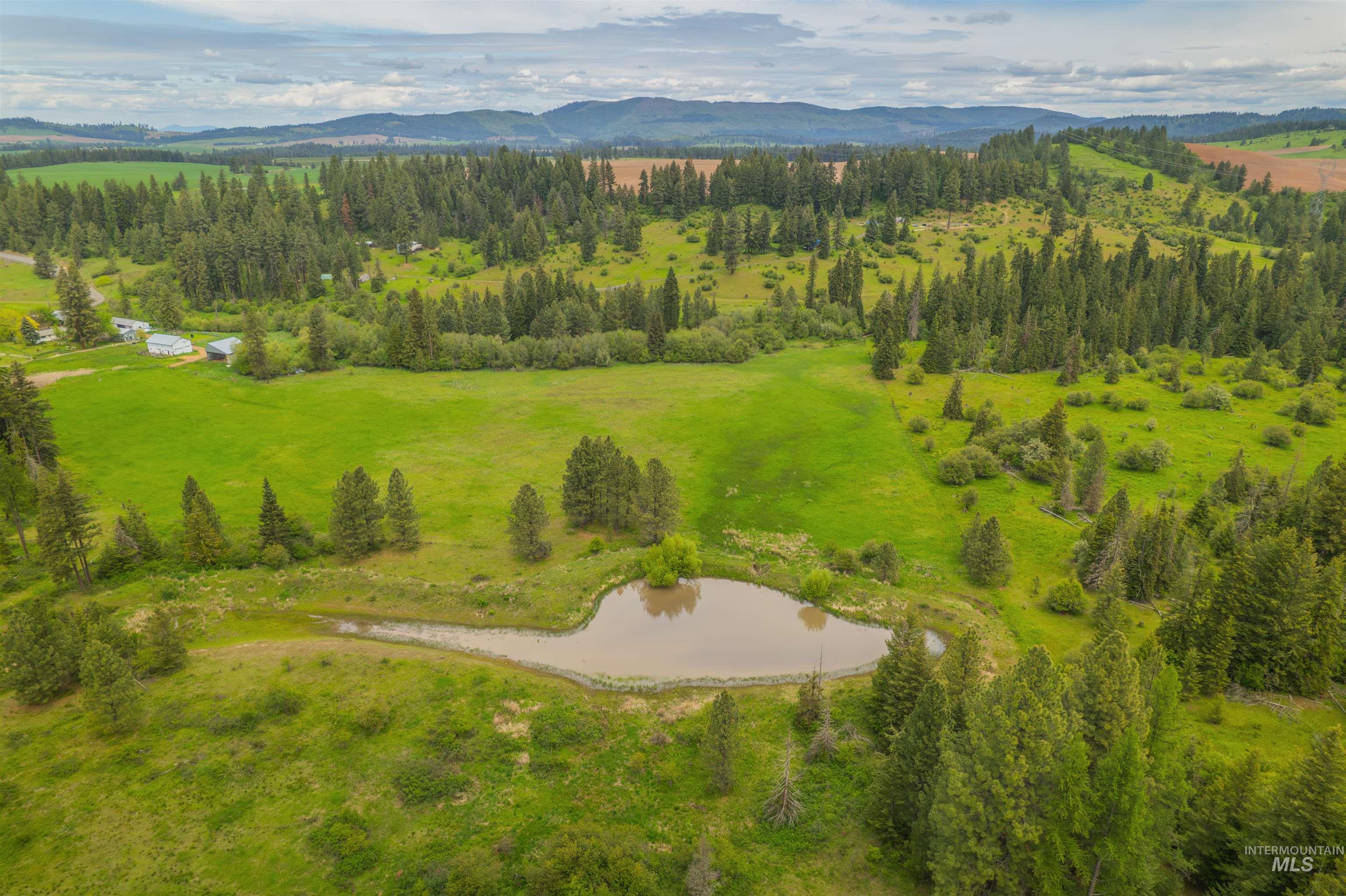716 3 Bear Creek Road Kendrick, ID 83537 - Photo 12 of 49