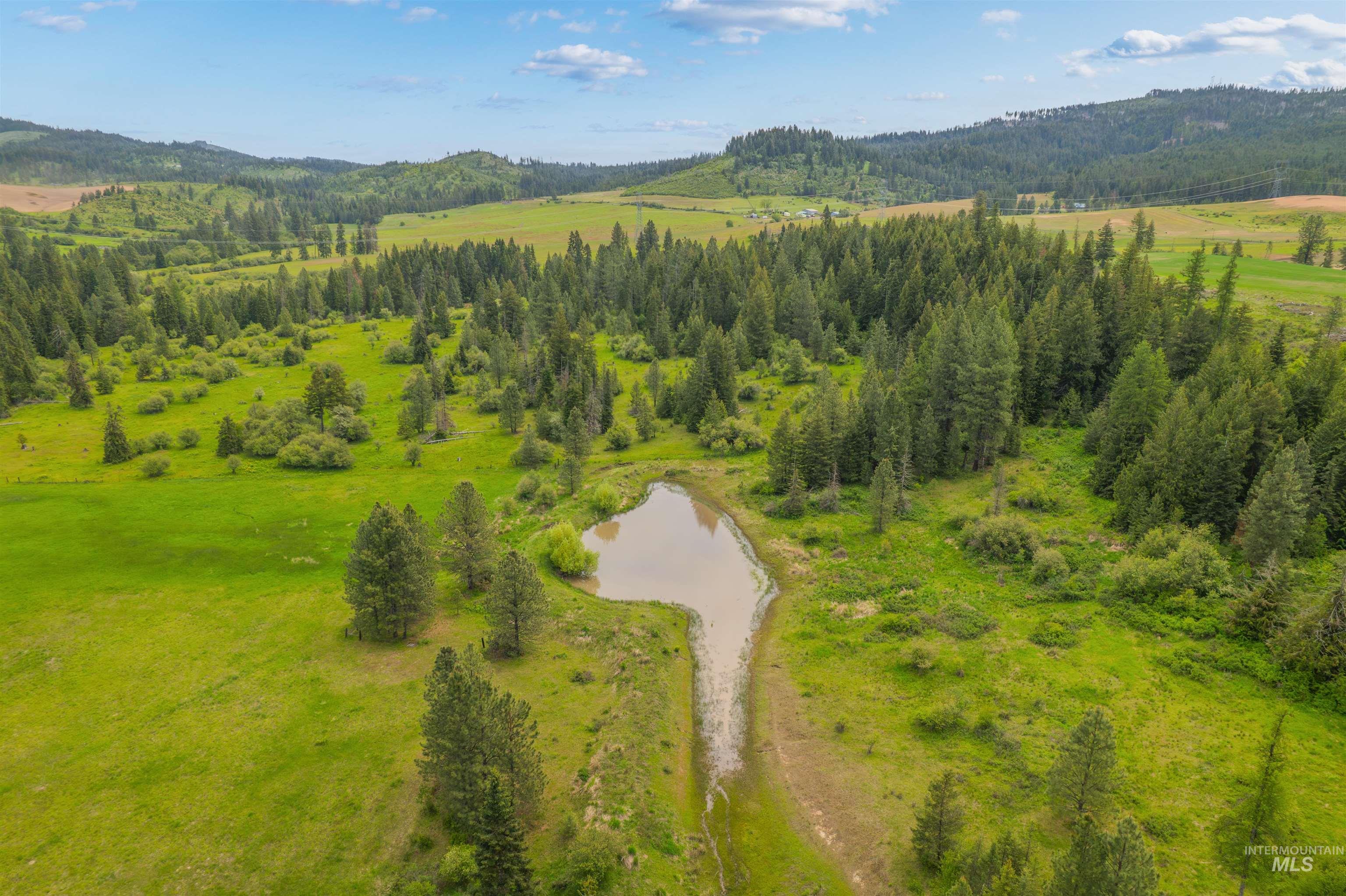 716 3 Bear Creek Road Kendrick, ID 83537 - Photo 17 of 49