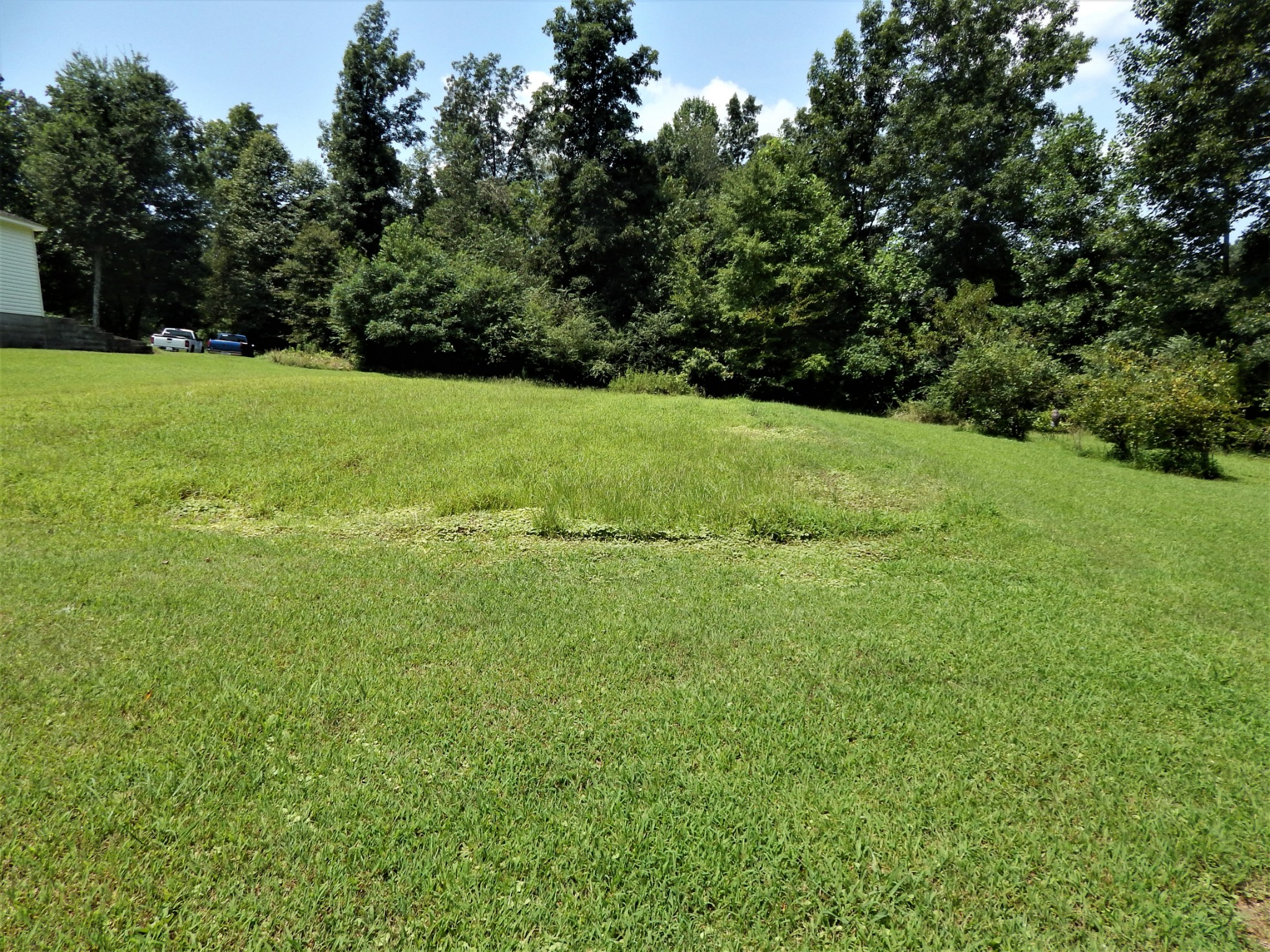 3753 Chisholm Road Iron City, TN 38463 - Photo 45 of 50 a view of field with tall trees