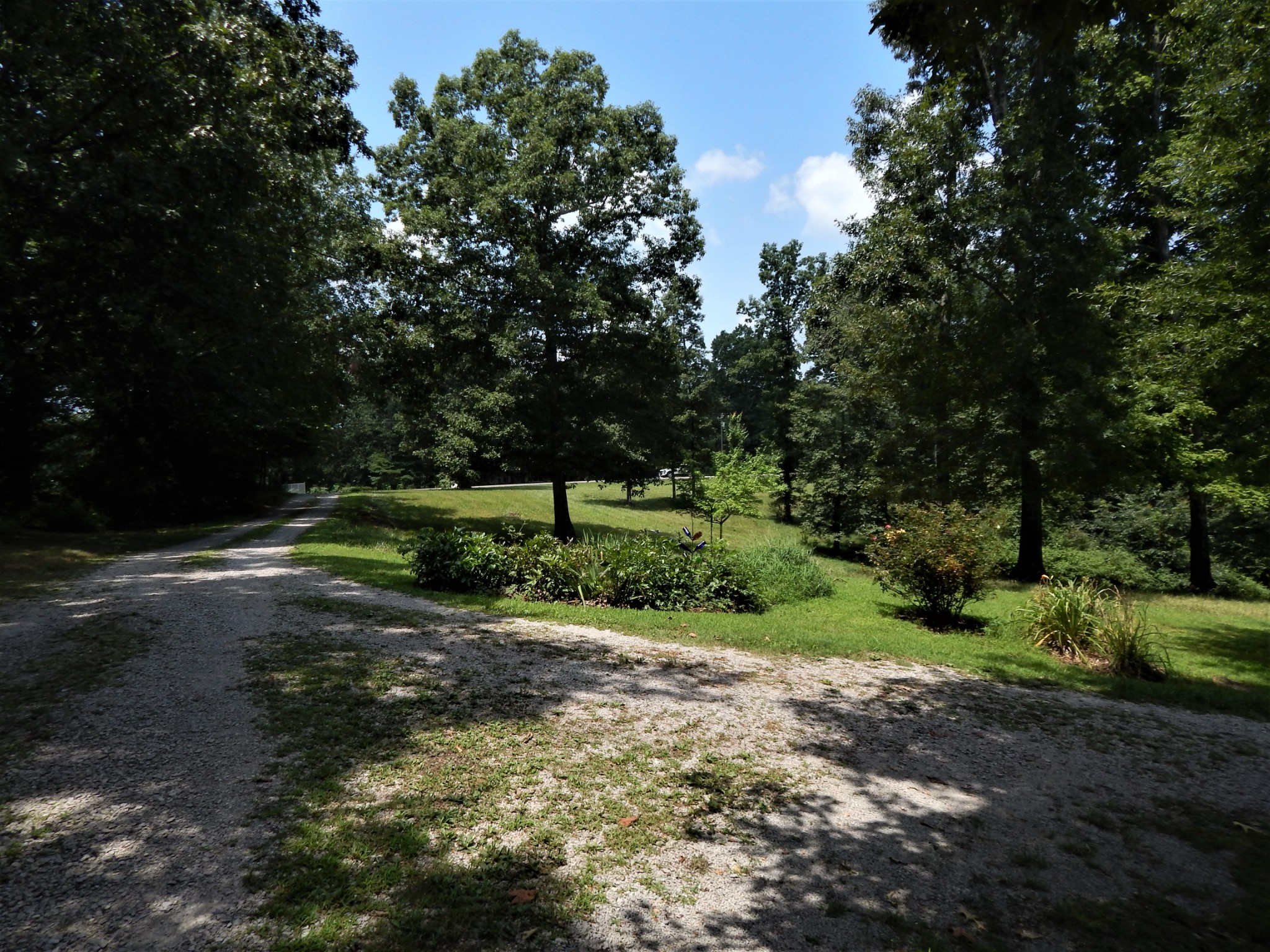 3753 Chisholm Road Iron City, TN 38463 - Photo 48 of 50 a view of a park