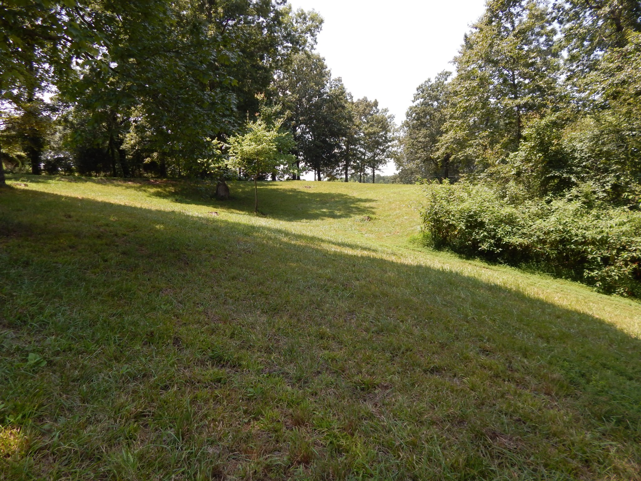 3753 Chisholm Road Iron City, TN 38463 - Photo 49 of 50 a view of a lake view