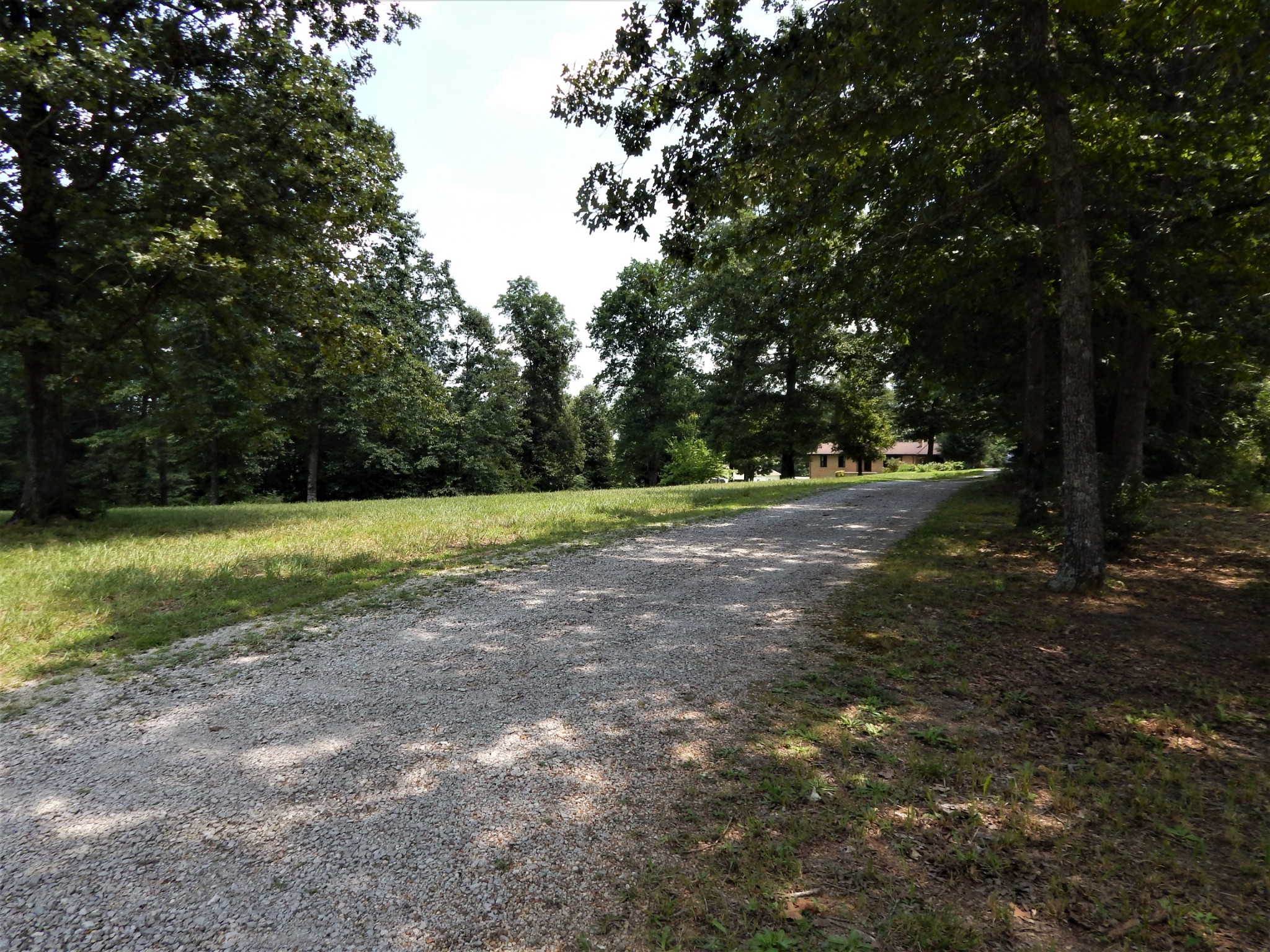 3753 Chisholm Road Iron City, TN 38463 - Photo 50 of 50 a view of a field with trees in background