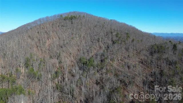 a view of a dry yard with mountains in the background