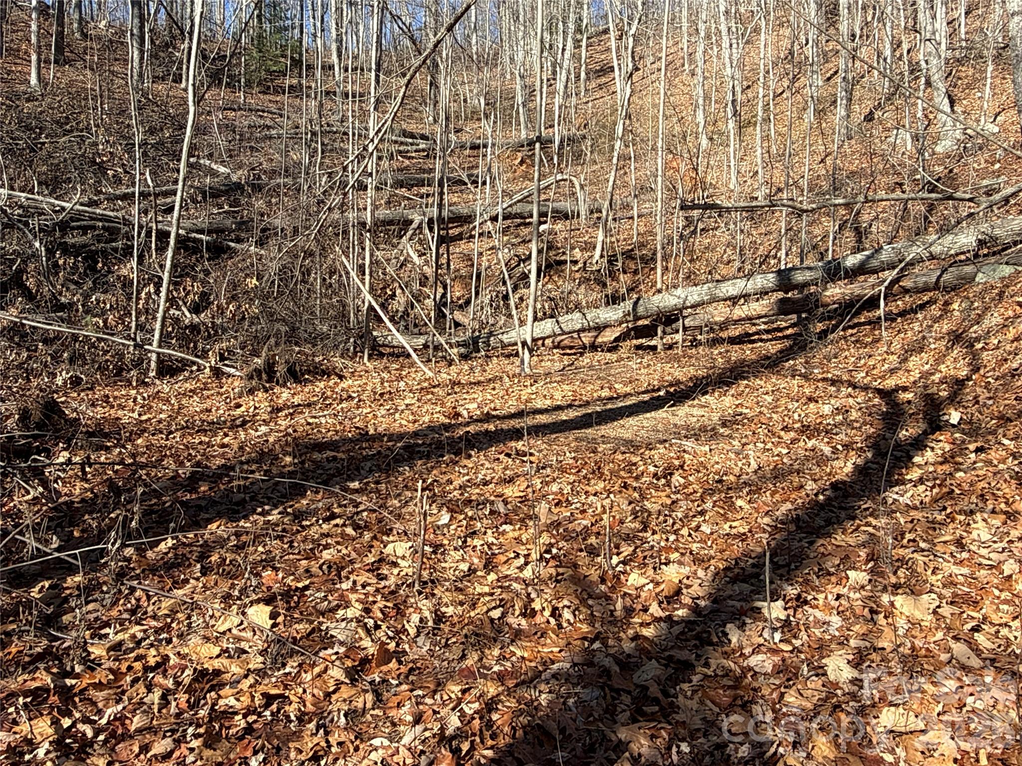 9999 Sealey Lane Leicester, NC 28748 - Photo 12 of 38 a view of a yard with wooden fence