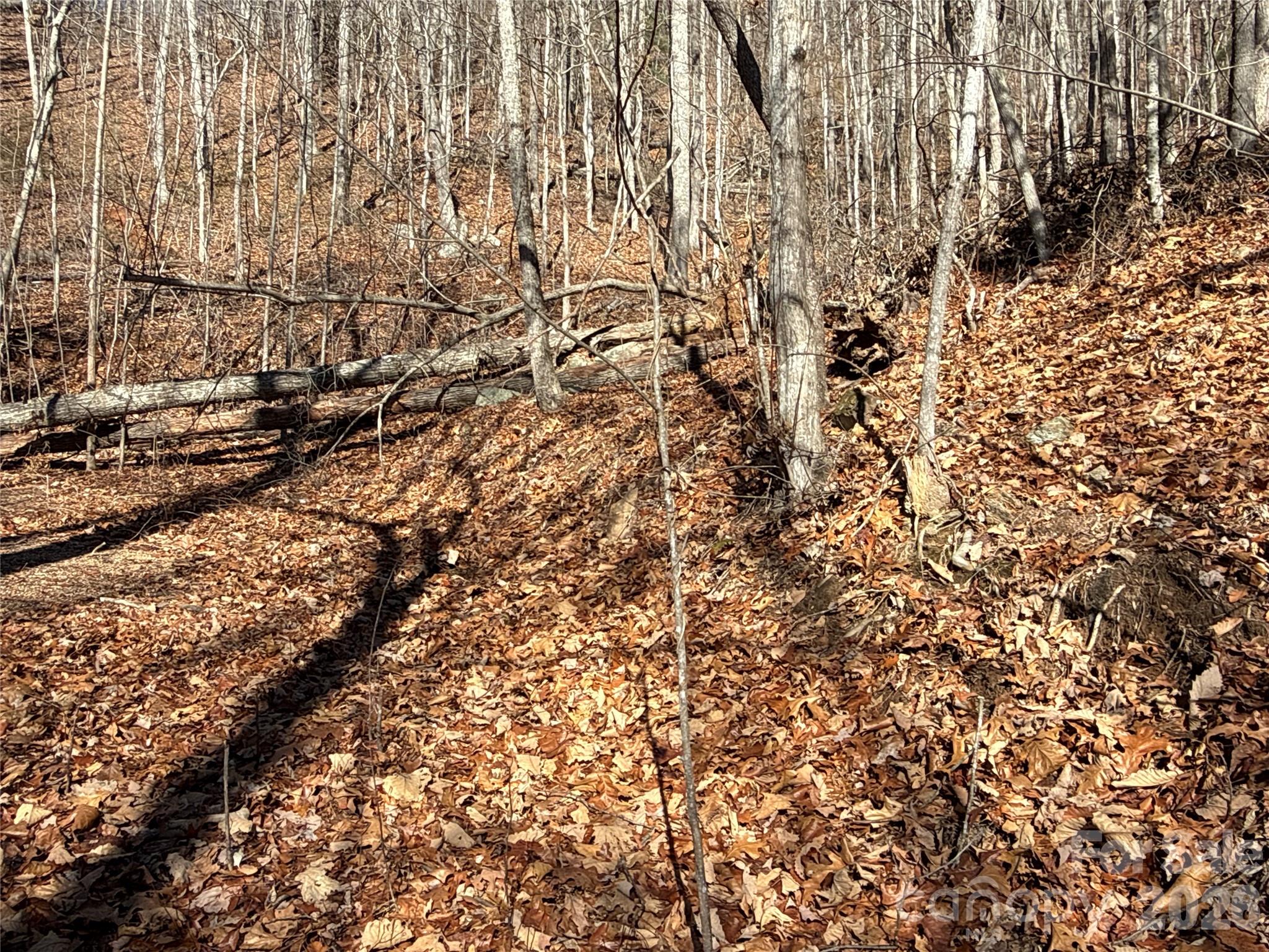 9999 Sealey Lane Leicester, NC 28748 - Photo 13 of 38