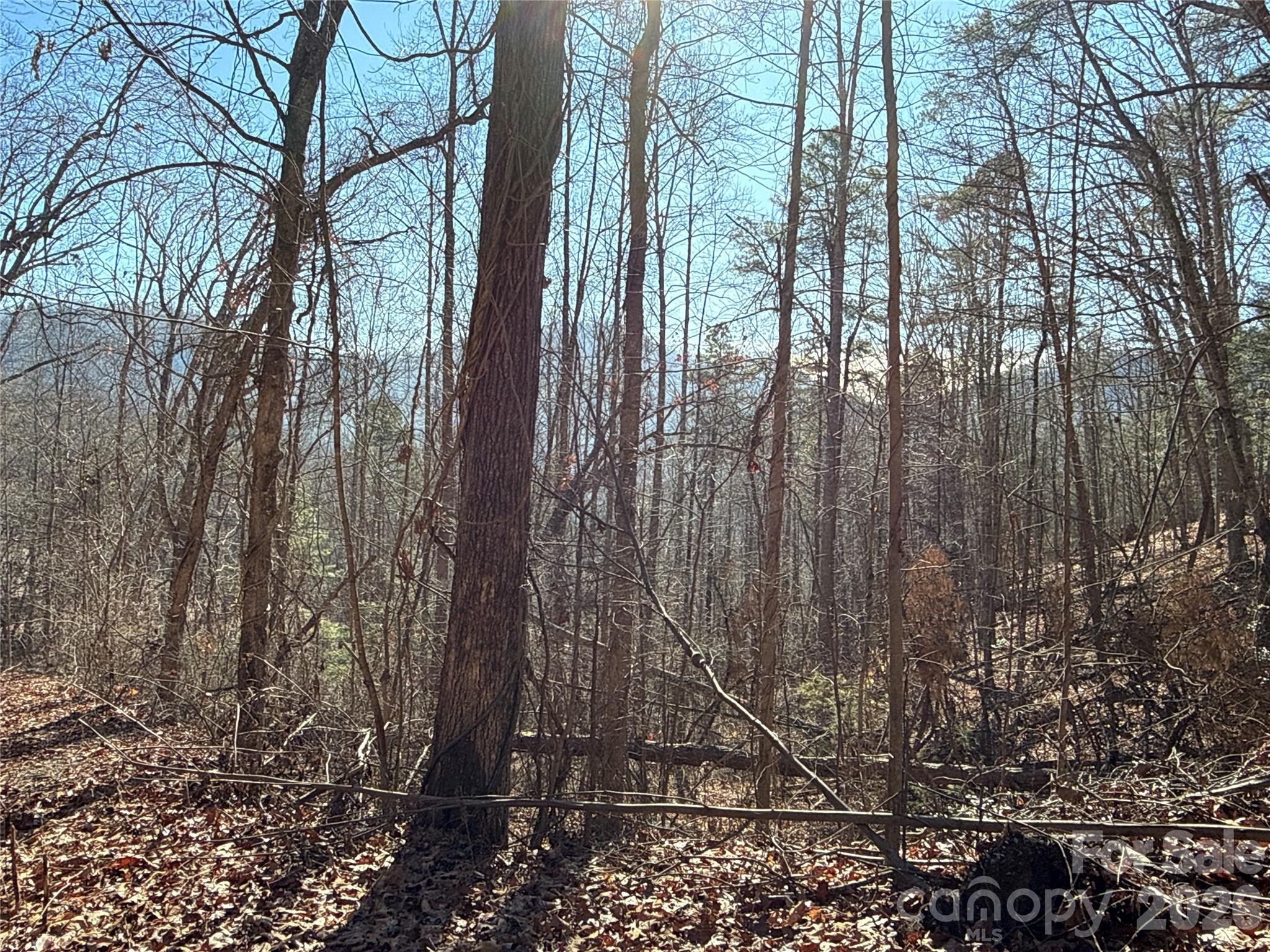 9999 Sealey Lane Leicester, NC 28748 - Photo 14 of 38 a view of a backyard of the house