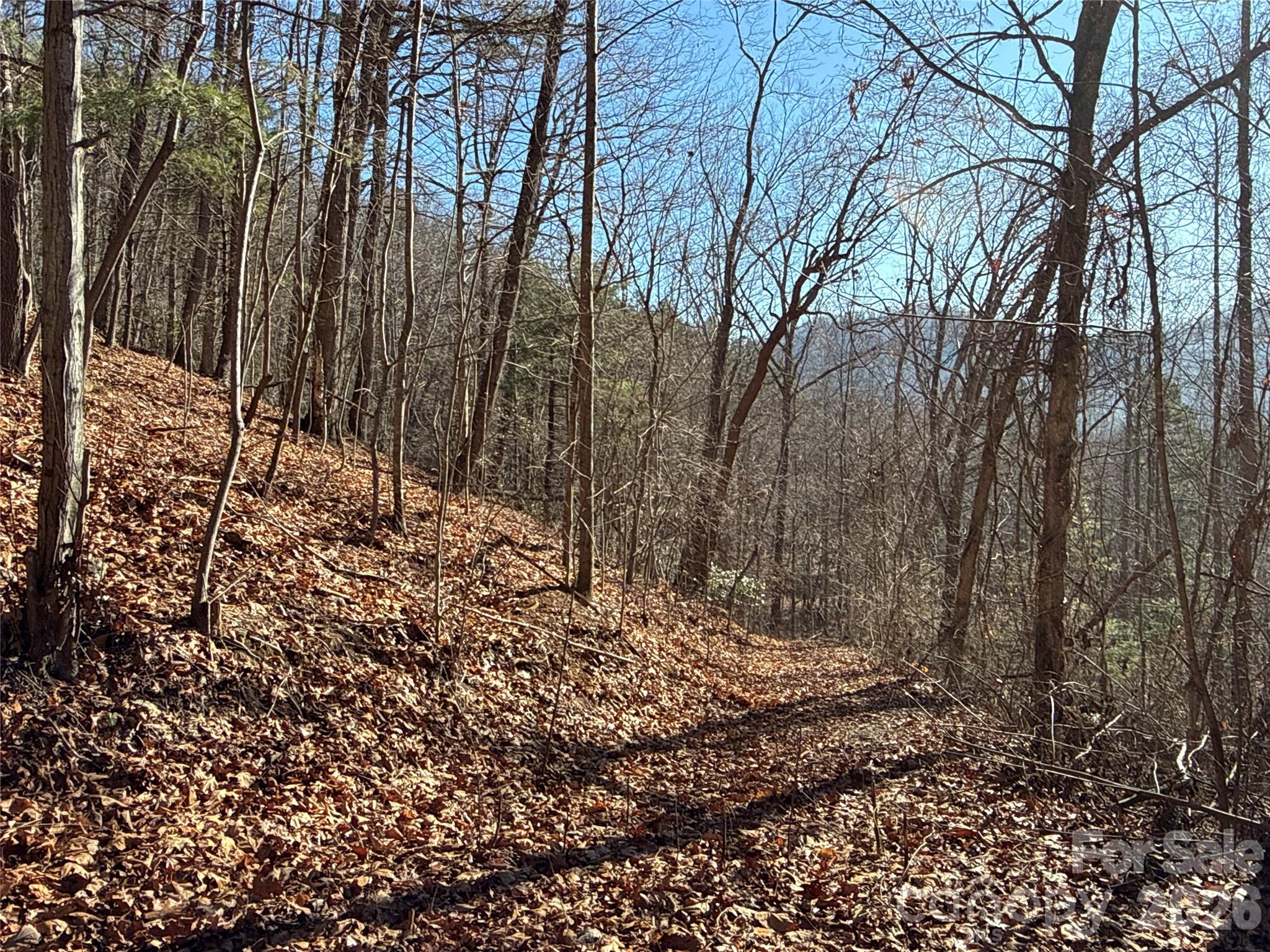 9999 Sealey Lane Leicester, NC 28748 - Photo 15 of 38