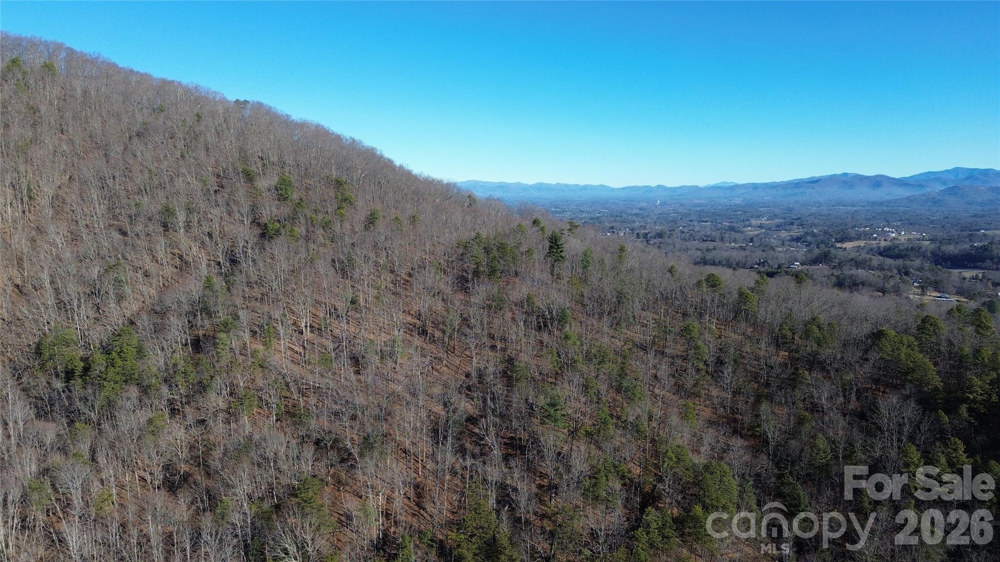 9999 Sealey Lane Leicester, NC 28748 - Photo 17 of 38 a view of a dry field