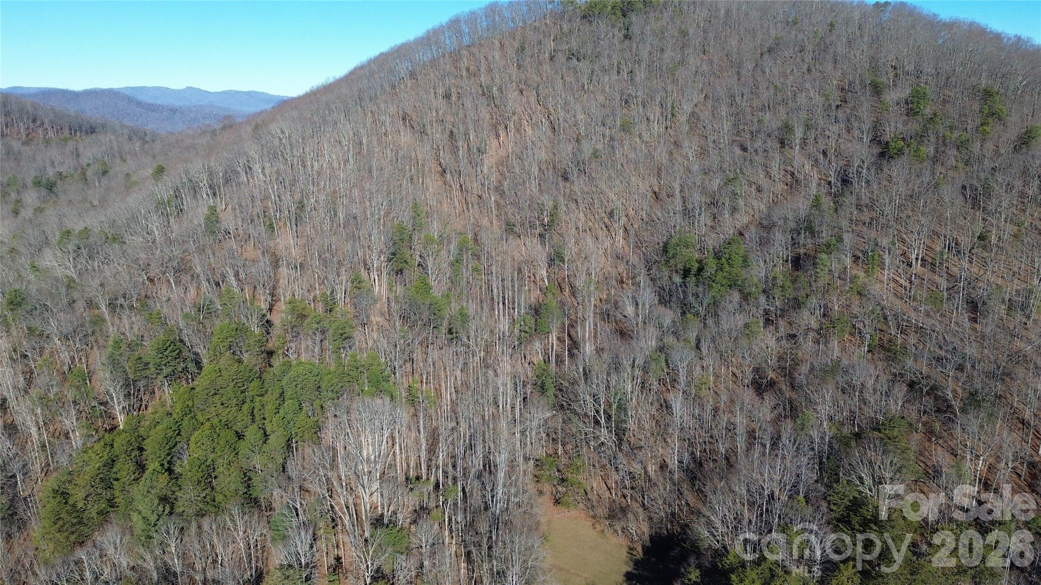 9999 Sealey Lane Leicester, NC 28748 - Photo 20 of 38 a view of a lush green field