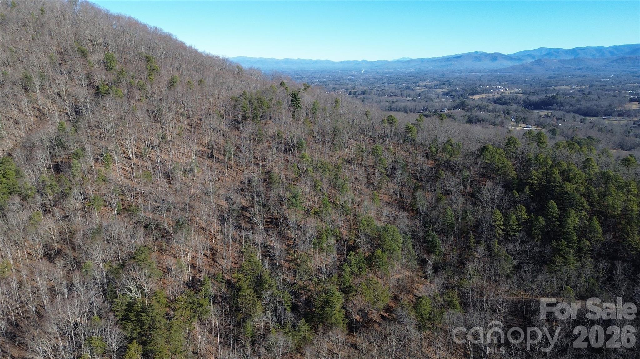 9999 Sealey Lane Leicester, NC 28748 - Photo 21 of 38 a view of a mountain in the distance in a field