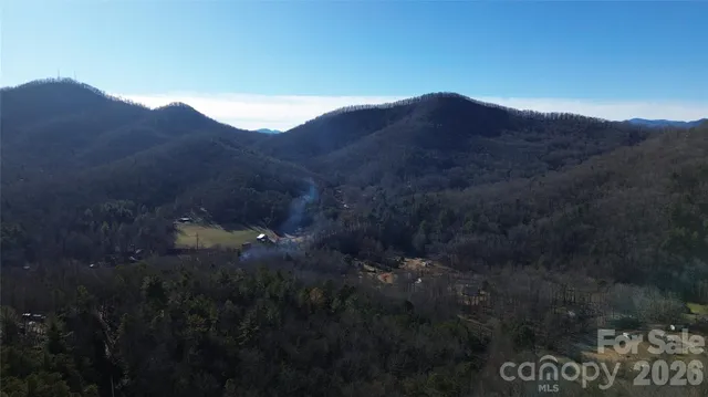 a backyard of a house with lots of plants and trees