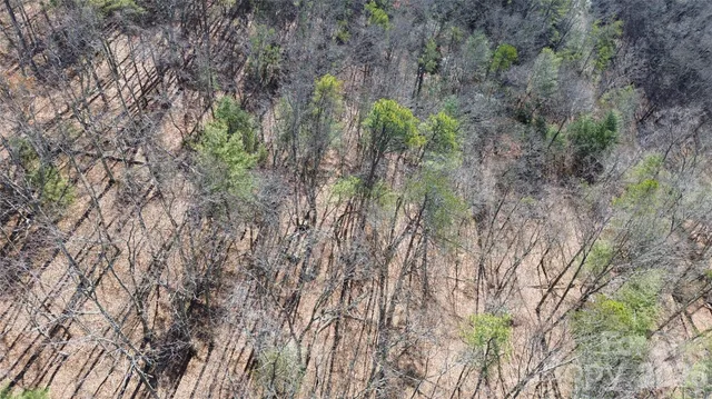 a view of a dry yard