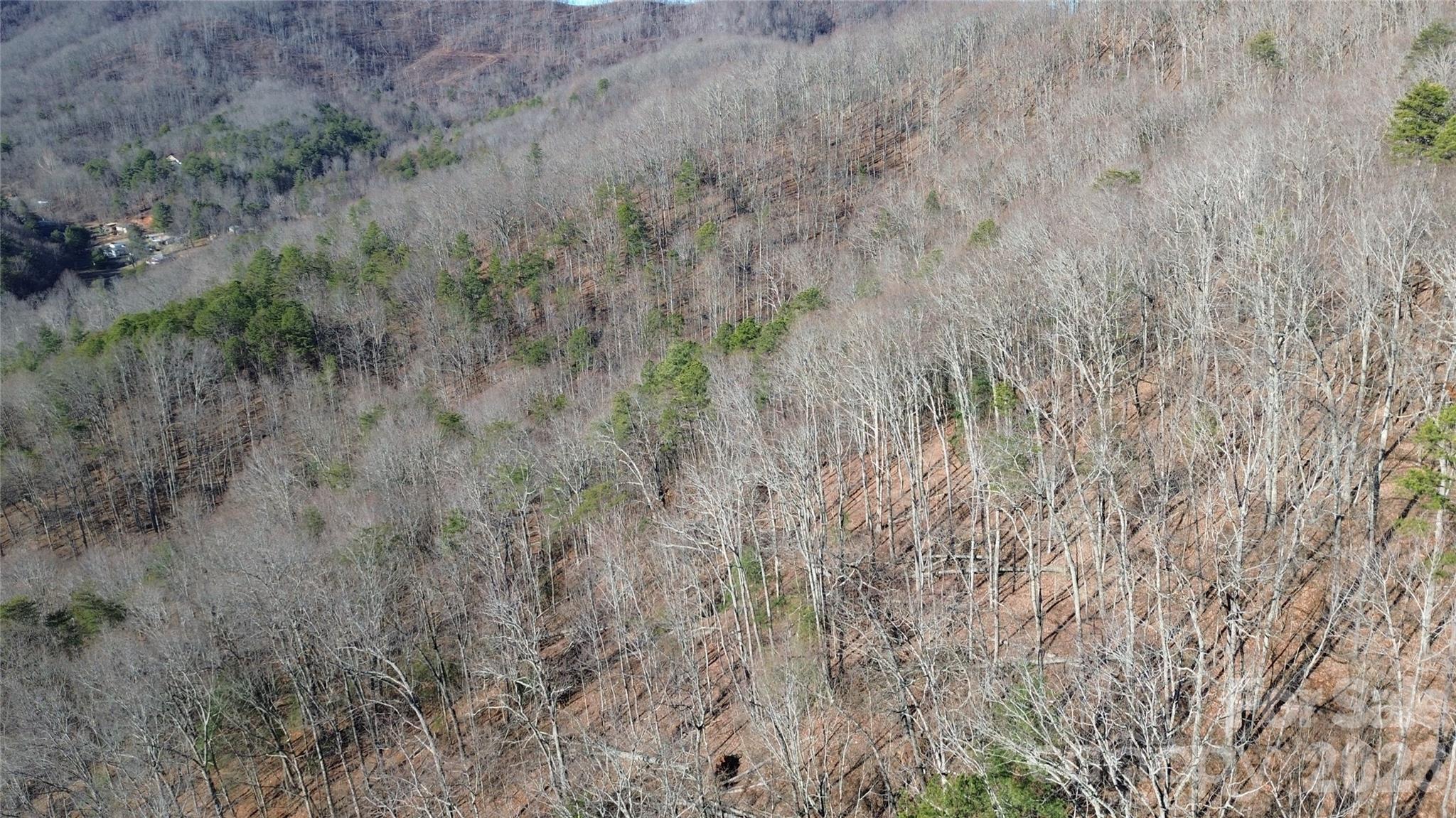 9999 Sealey Lane Leicester, NC 28748 - Photo 28 of 38 a view of a dry yard