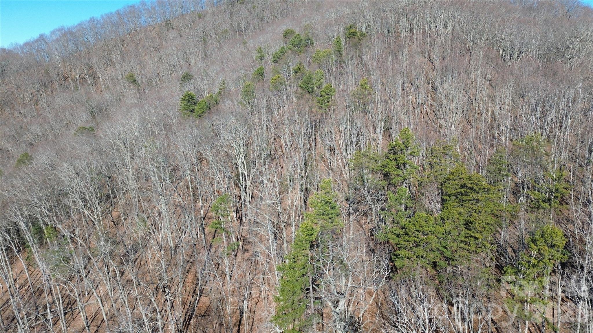 9999 Sealey Lane Leicester, NC 28748 - Photo 29 of 38 a view of a lush green field
