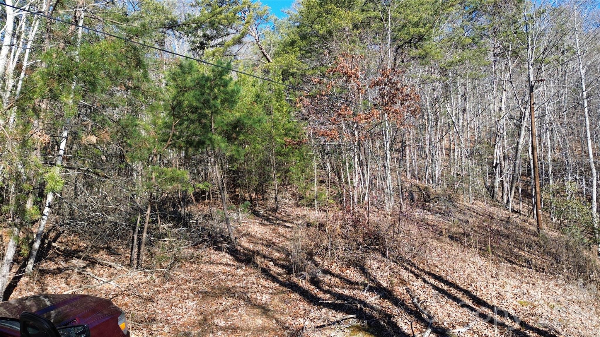 9999 Sealey Lane Leicester, NC 28748 - Photo 32 of 38 a view of a yard with plants and wooden fence