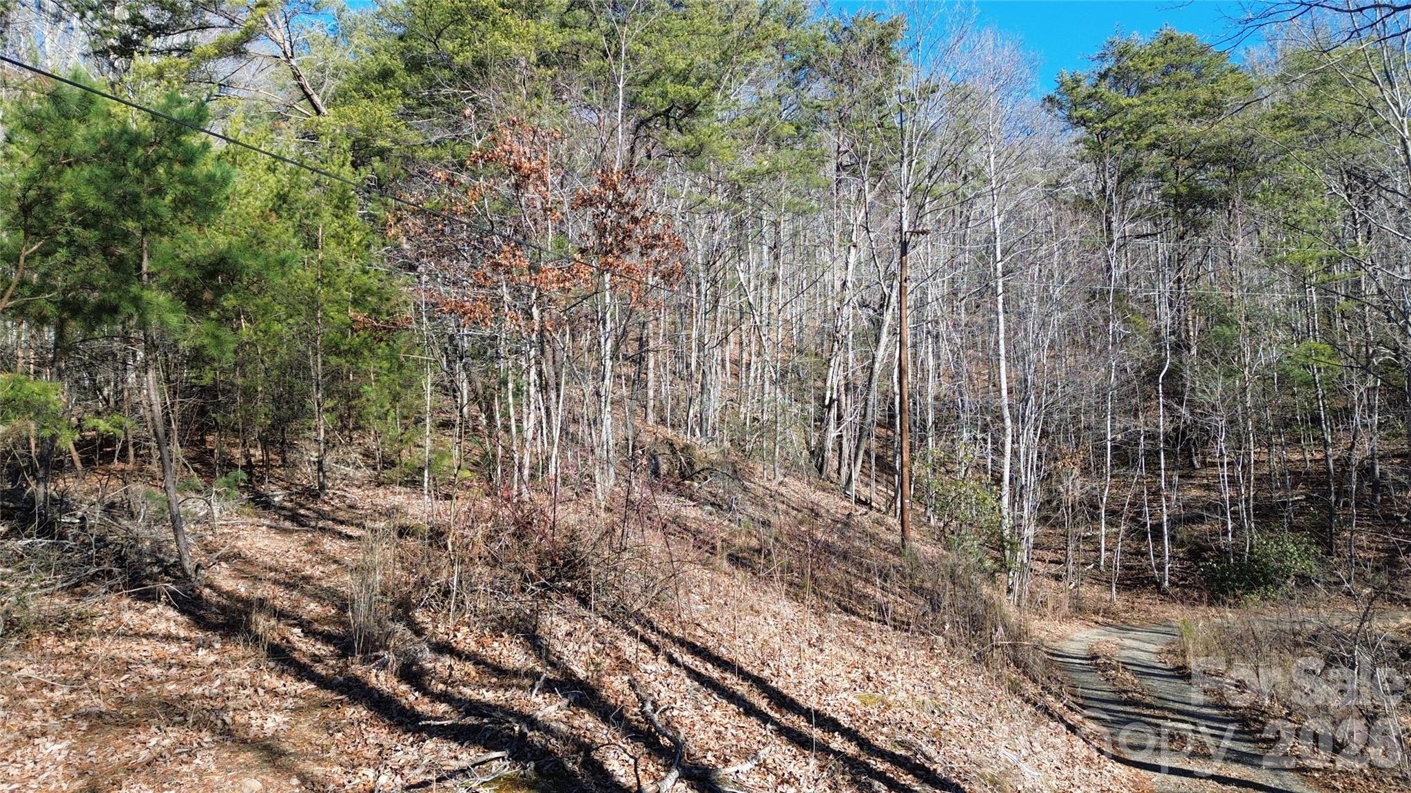 9999 Sealey Lane Leicester, NC 28748 - Photo 33 of 38 a view of a yard