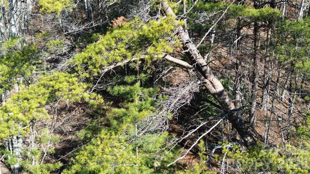 $299,999 | 9999 Sealey Lane, Leicester, NC 28748