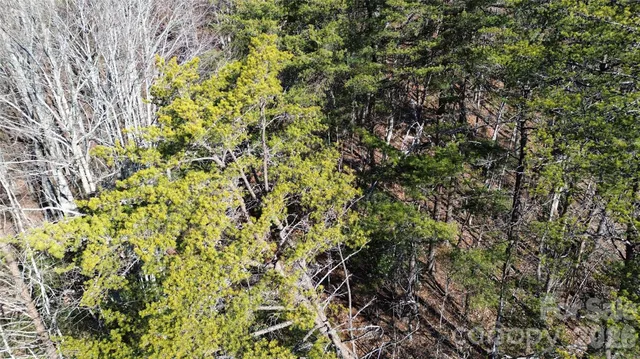 $299,999 | 9999 Sealey Lane, Leicester, NC 28748