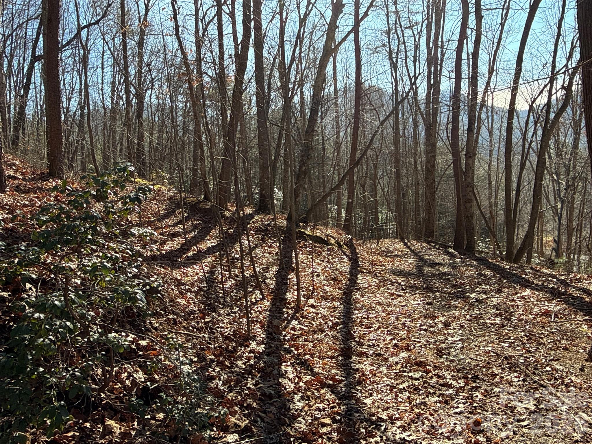 9999 Sealey Lane Leicester, NC 28748 - Photo 8 of 38 a view of outdoor space and yard