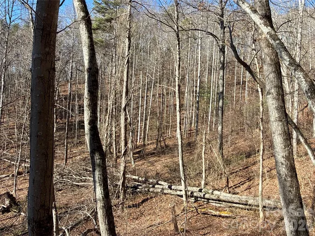 a view of a backyard of the house