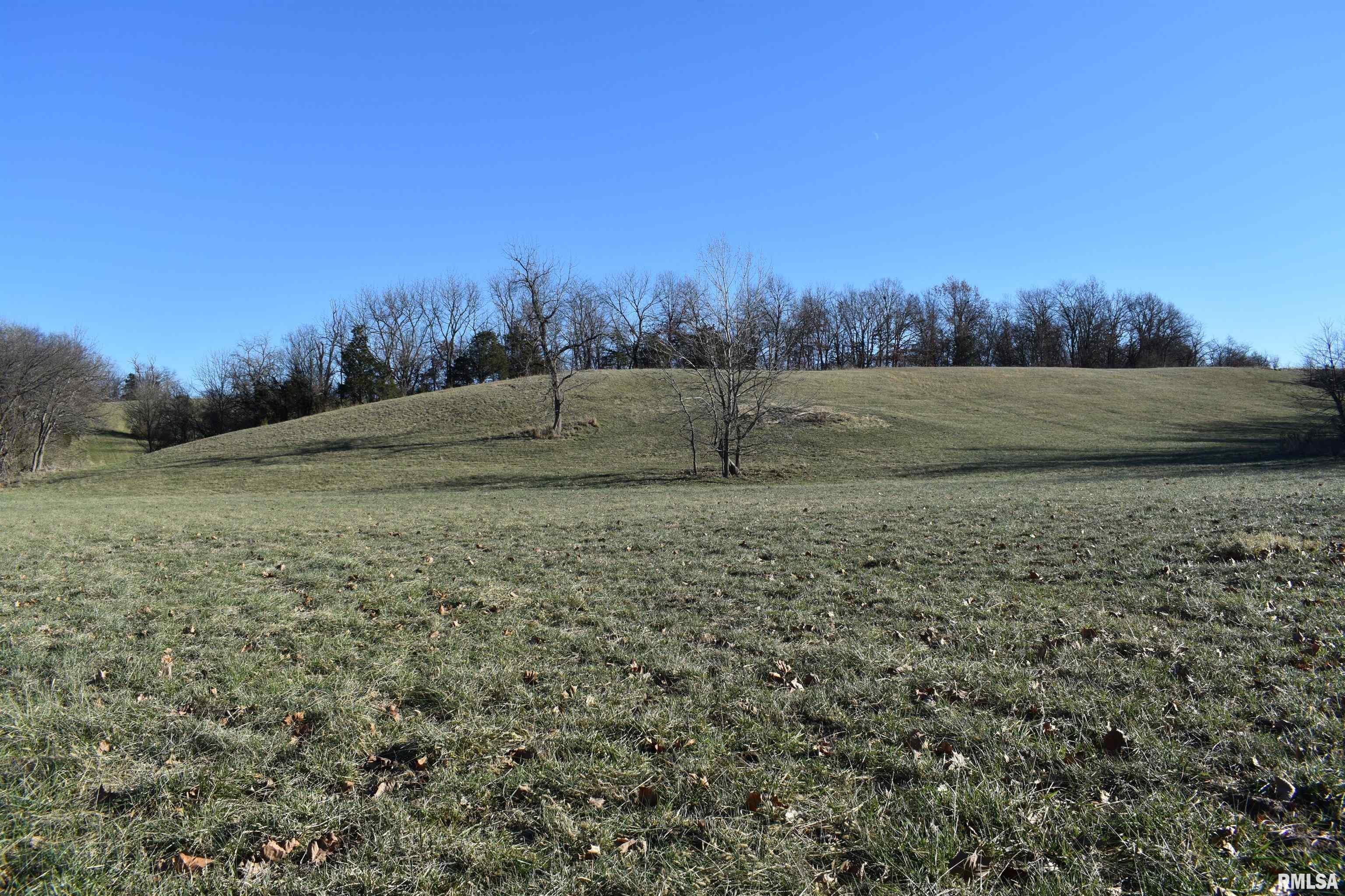 Ebenezer Church Road Jacksonville, IL 62650 - Photo 21 of 28