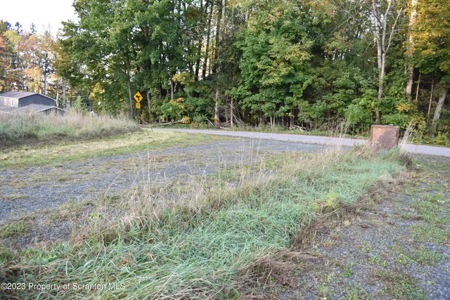 a view of a yard with a tree