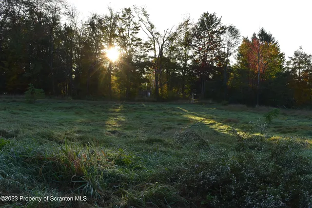 a view of outdoor space with trees all around