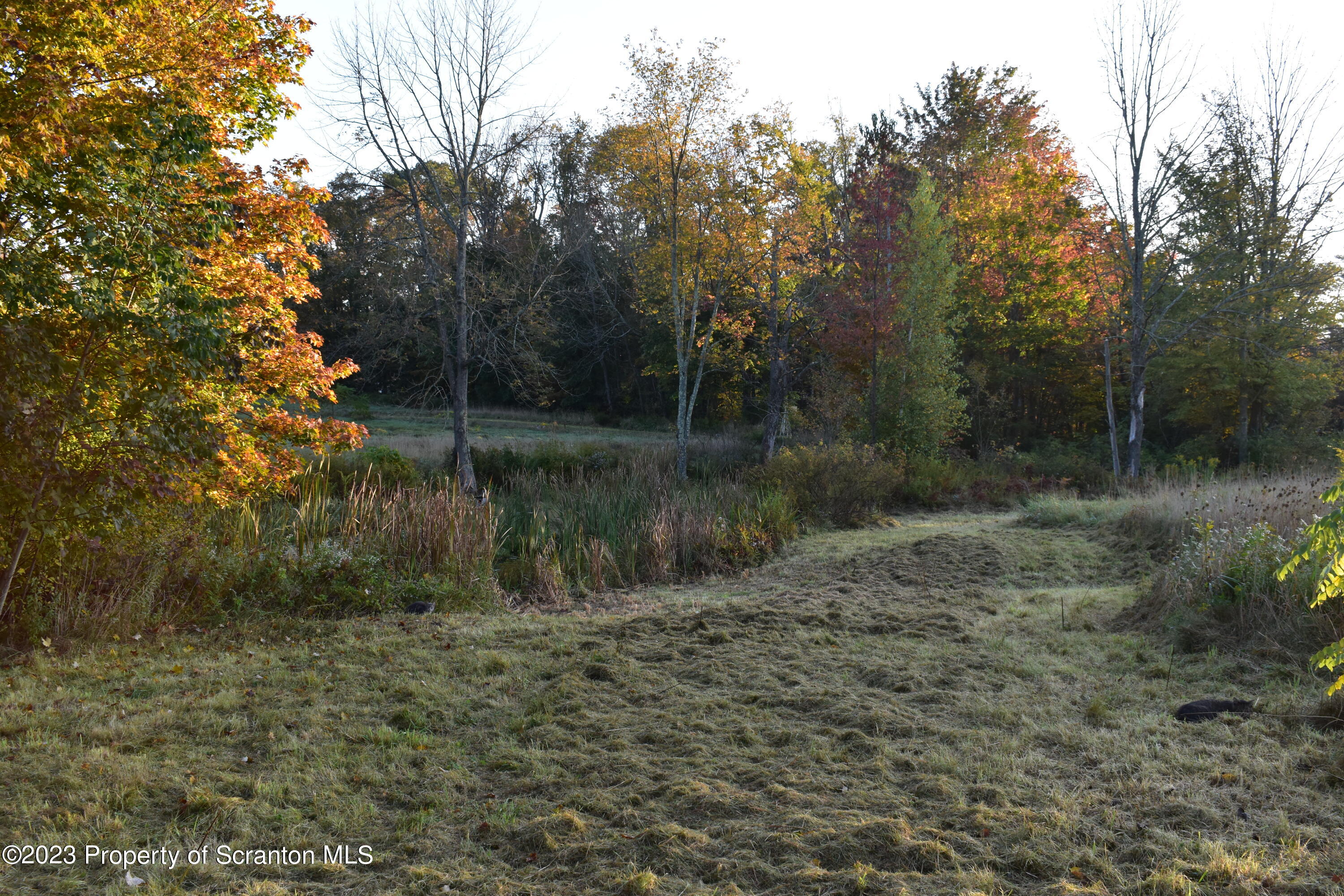 Lake Street Montrose, PA 18801 - Photo 13 of 24 a view of a forest