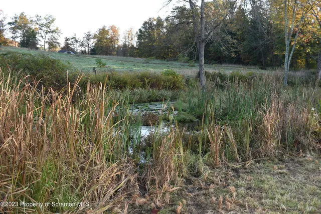 a view of a lush green forest with a house