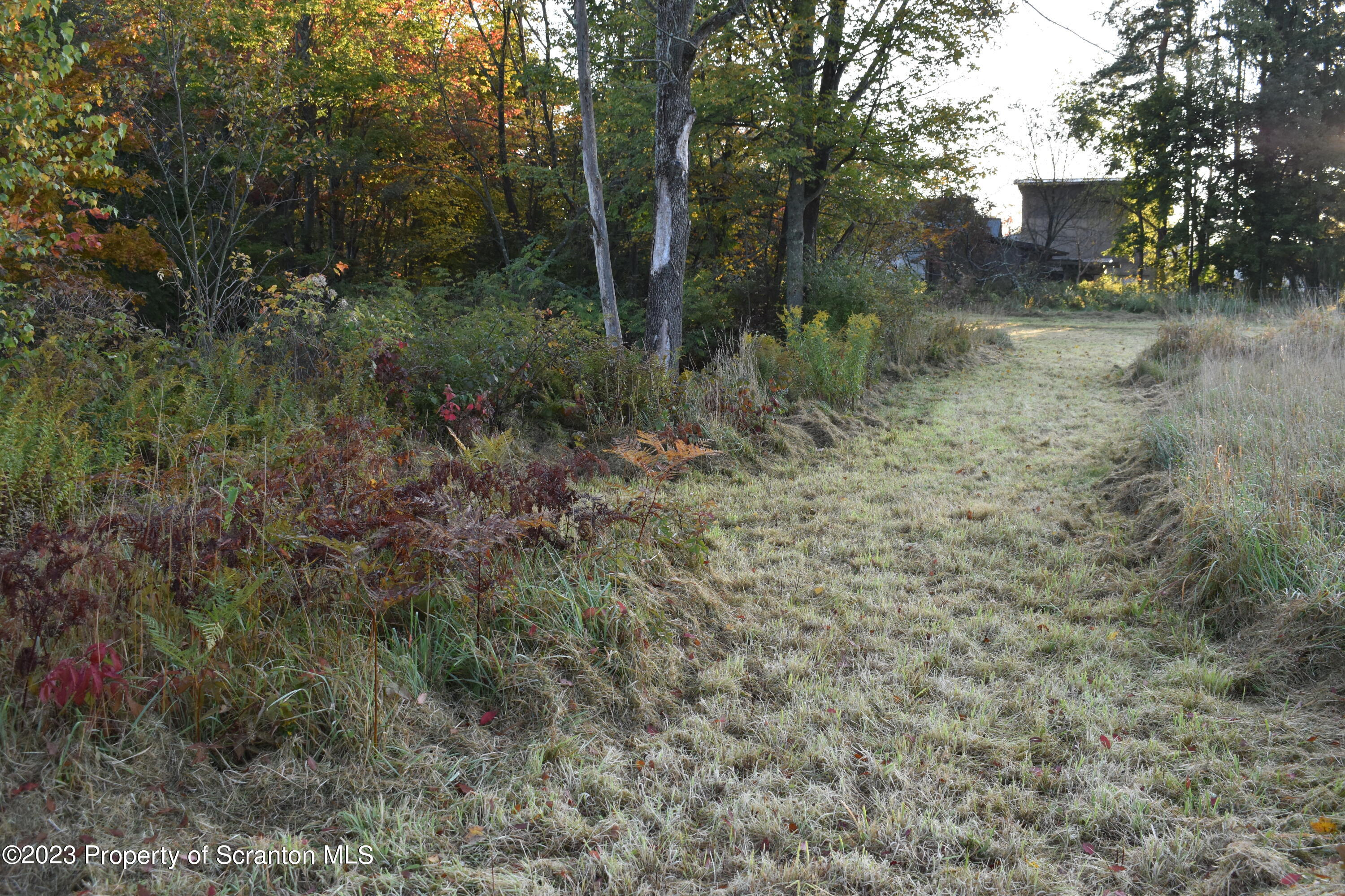 Lake Street Montrose, PA 18801 - Photo 15 of 24 a view of a dry yard with trees