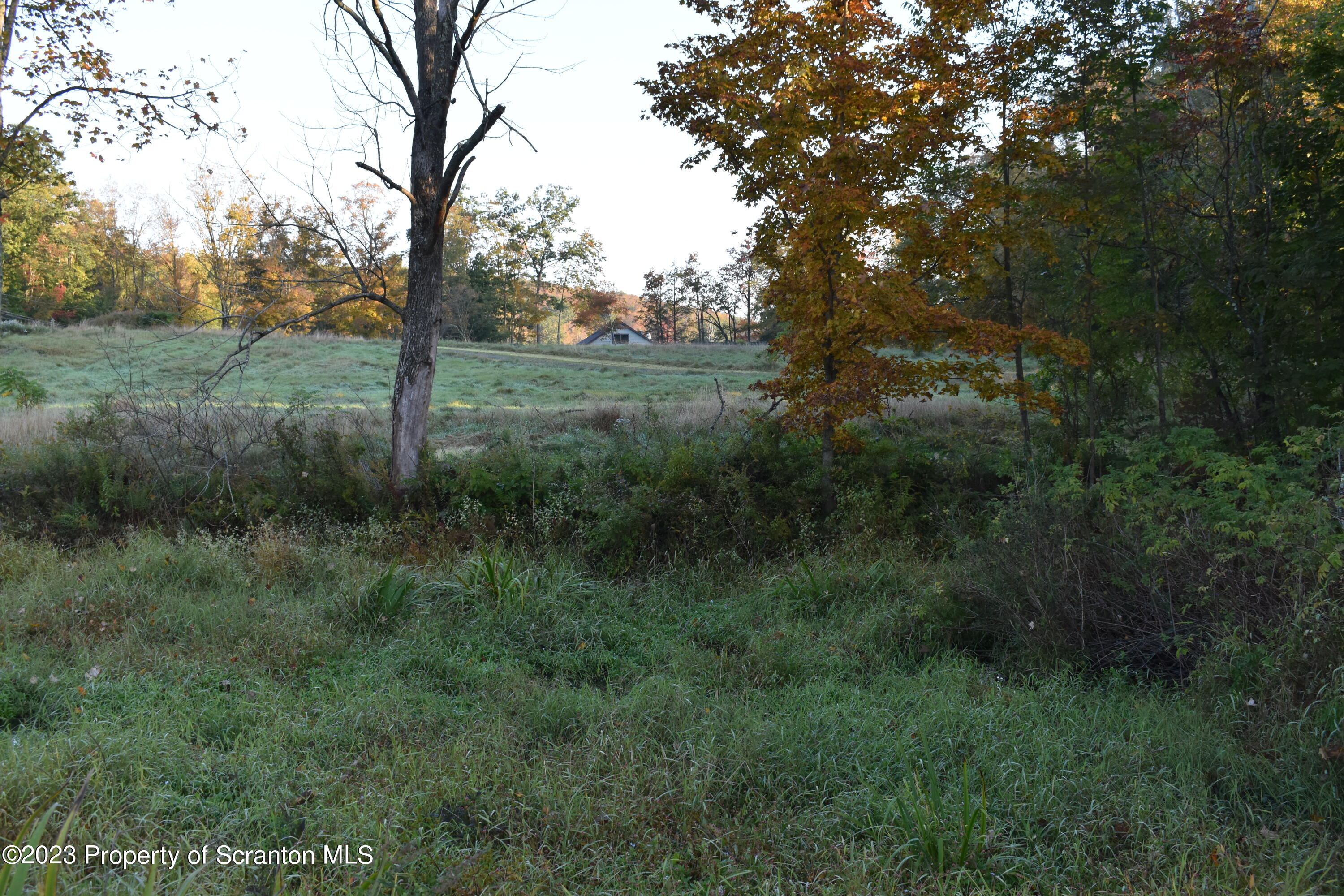 Lake Street Montrose, PA 18801 - Photo 16 of 24 Clearing