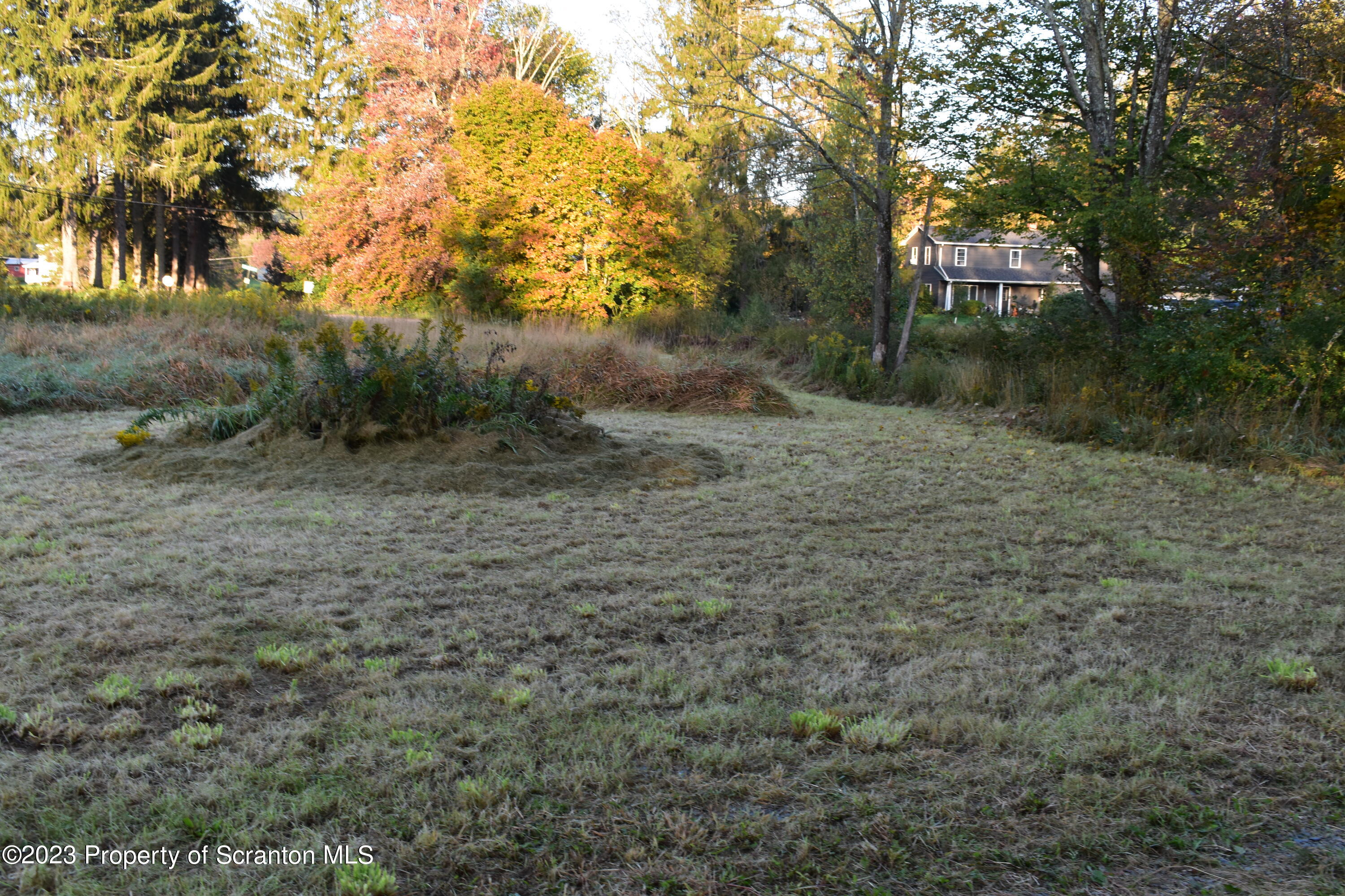 Lake Street Montrose, PA 18801 - Photo 18 of 24 a backyard of a house with lots of green space